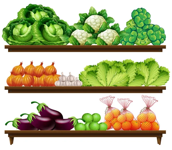 Grupp Grönsaker Hyllan Illustration — Stock vektor
