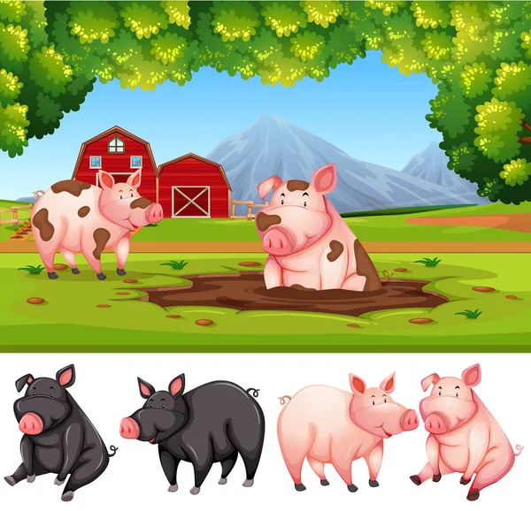 Pig Nature Farm Illustration — Stock Vector