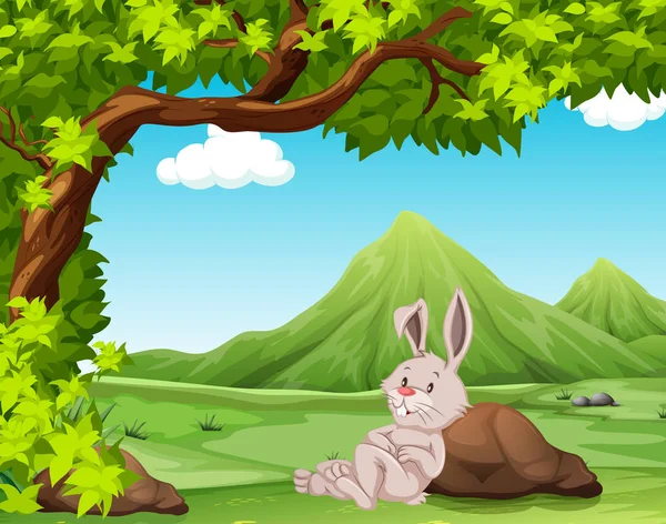 兔子在自然例证 — 图库矢量图片