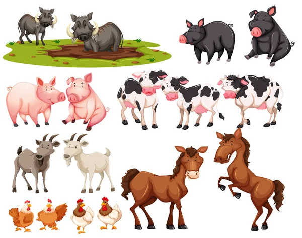 Set Animali Sfondo Bianco Illustrazione — Vettoriale Stock