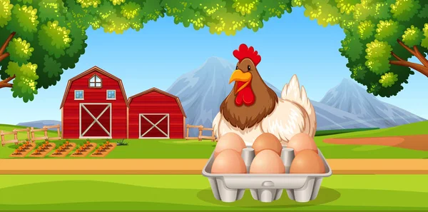 Chicken Eggs Farm Scene Illustration — Stock Vector