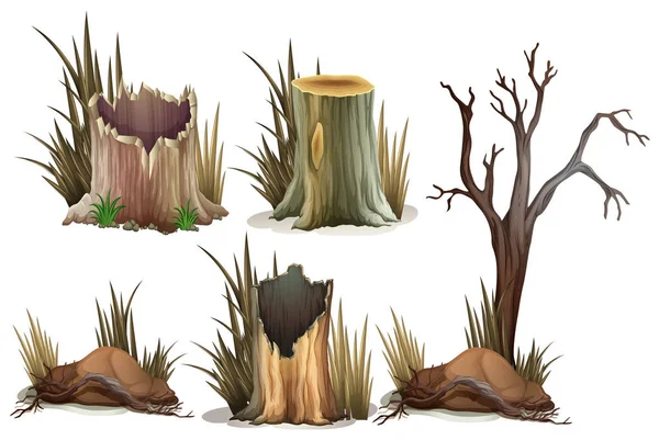 Inny Rodzaj Drzewo Giczoł Ilustracja — Wektor stockowy