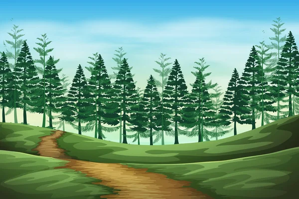 Skog Landskap Bakgrund Scen Illustration — Stock vektor