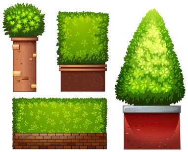 Yeşil bitki resimde kümesi