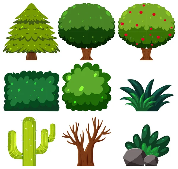 Zestaw Roślin Zielonych Ilustracja — Wektor stockowy