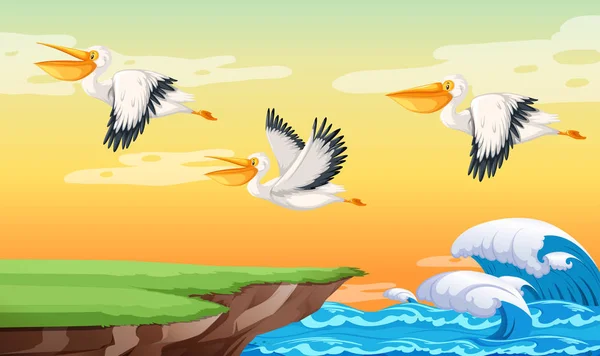 Pelikan Uçan Gökyüzü Illüstrasyon — Stok Vektör