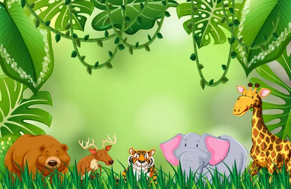 Animal Sauvage Dans Jungle Illustration — Image vectorielle