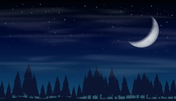 Ночь Лесу Иллюстрация — стоковый вектор
