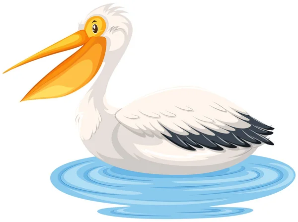 Ein Pelikan Auf Dem Wasser — Stockvektor