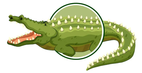 Autocollant Crocodile Sur Fond Blanc Illustration — Image vectorielle