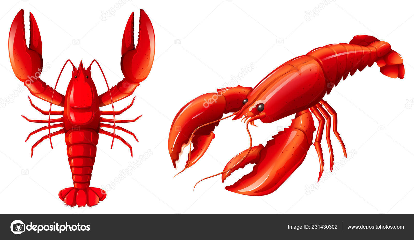 Sett Med Illustrasjon Rød Hummer stockvektor © blueringmedia #231430302, image size:1600x928