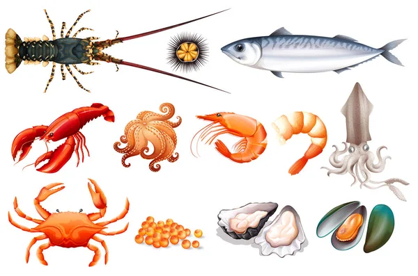 Set Segar Seafood Ilustrasi - Stok Vektor