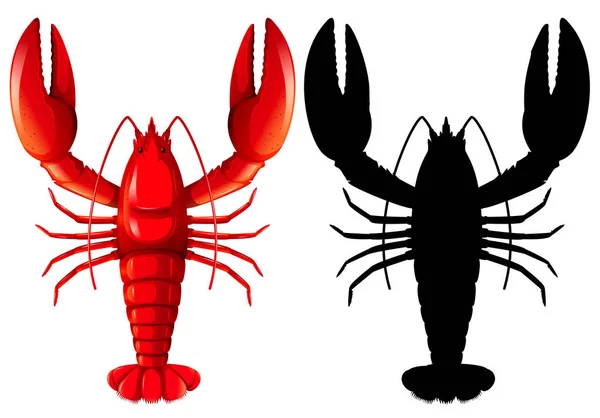 Set Lobster Pada Ilustrasi Latar Belakang Putih - Stok Vektor