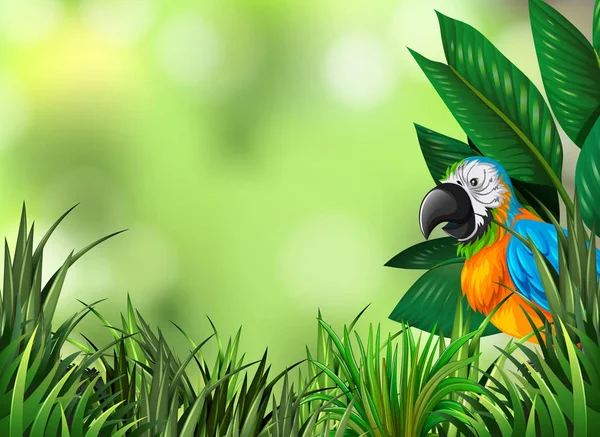 Ilustracji Tle Zielony Natura Papuga — Wektor stockowy