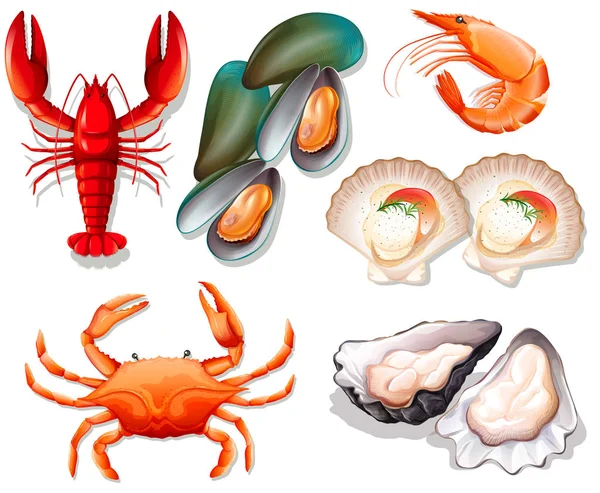 Set Seafood White Background Illustration — Stock Vector
