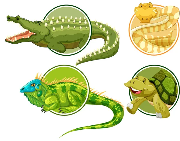 Ensemble Reptiles Sur Cercle Autocollant Modèle Illustration — Image vectorielle