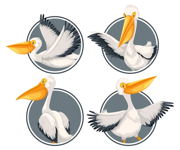 Pelicano Modelo Etiqueta Ilustração —  Vetores de Stock