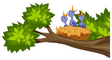 kuş yuva üzerinde ağaç dalı illüstrasyon