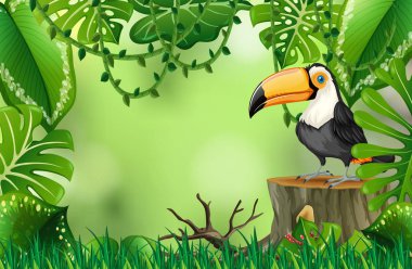 Doğa yeşil şablon çizimde bir toucan