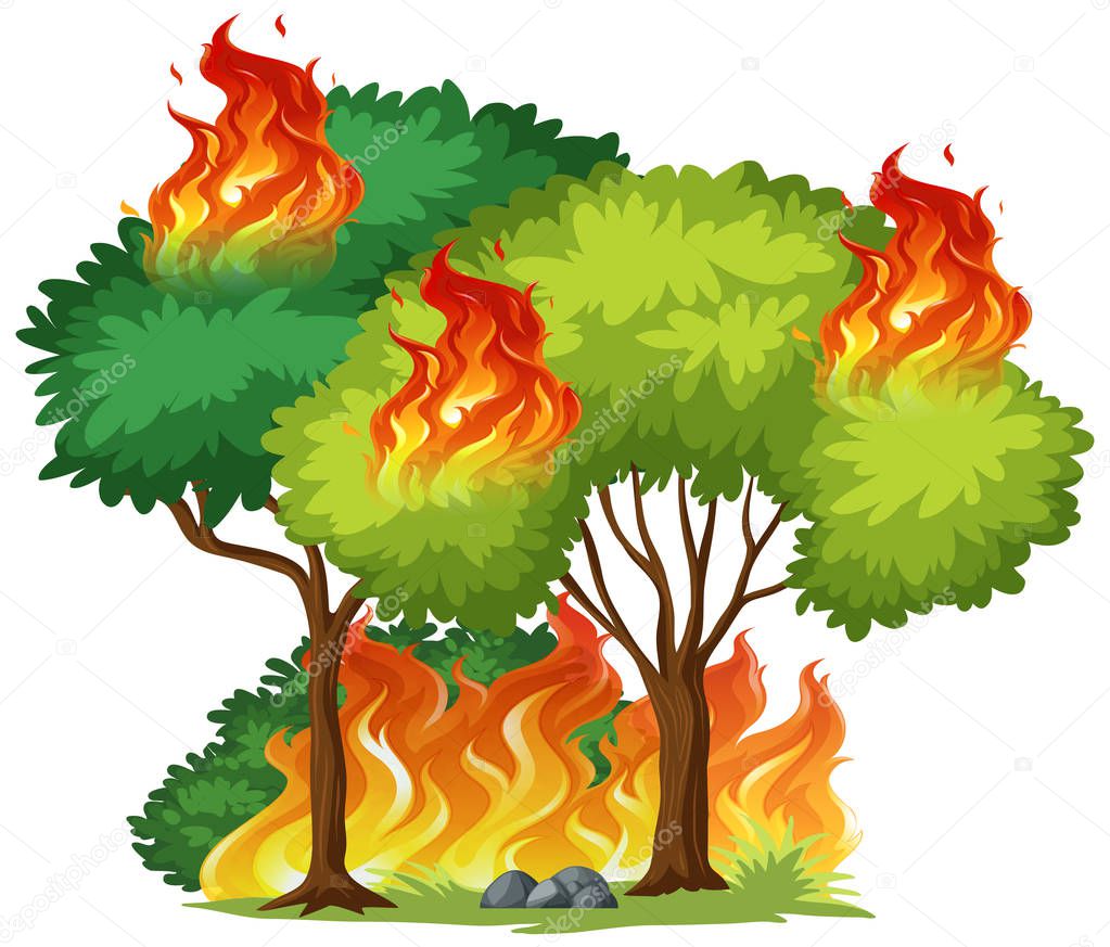Isolated tree on fire illustration