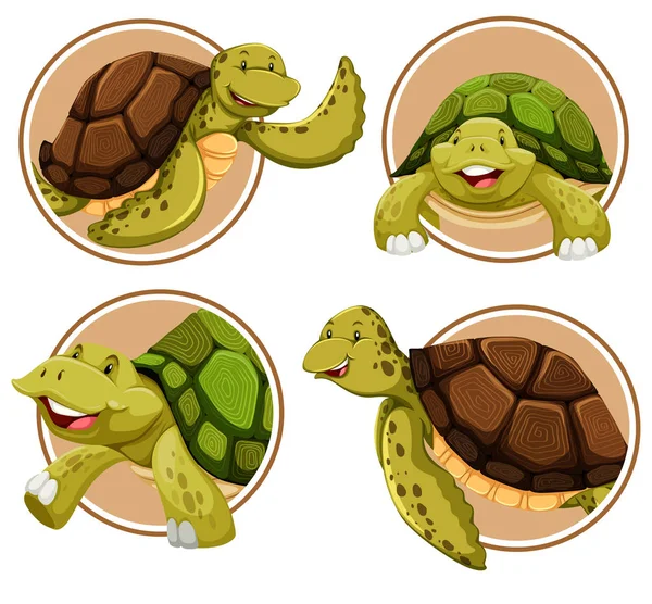 Uppsättning Turtle Banner Illustration — Stock vektor