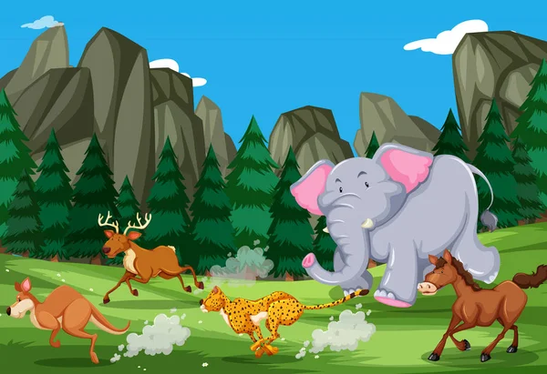 Animals Run Nature Illustration — Stock Vector
