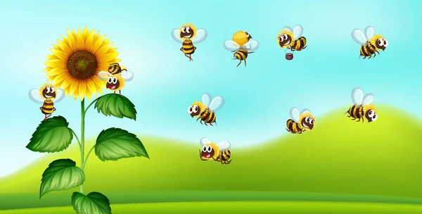 Biene Und Sonnenblume Natur Schwarzgrund Illustration — Stockvektor