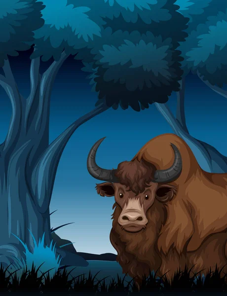 Yak in the dark forest illustration