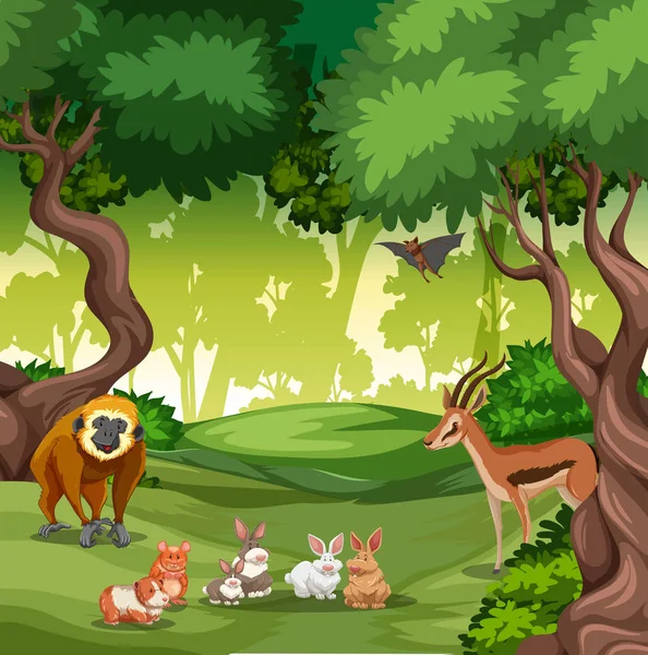 Wildes Tier Wald Illustration — Stockvektor