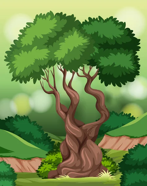 Árbol Escena Naturaleza Ilustración — Archivo Imágenes Vectoriales