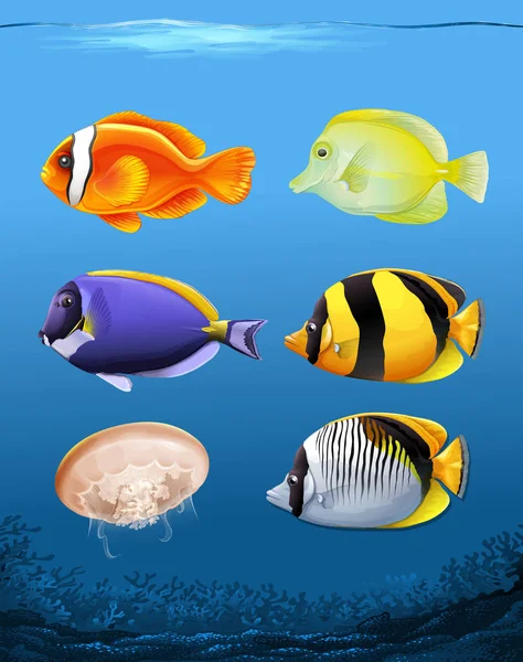 Πολλά Ψάρια Υποβρύχια Θέμα Εικονογράφηση — Διανυσματικό Αρχείο