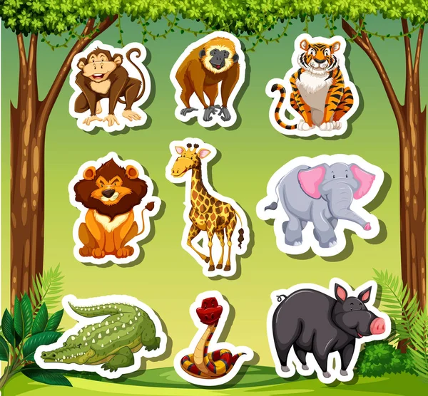 Viele Tiere Kleben Dschungel Hintergrund Illustration — Stockvektor