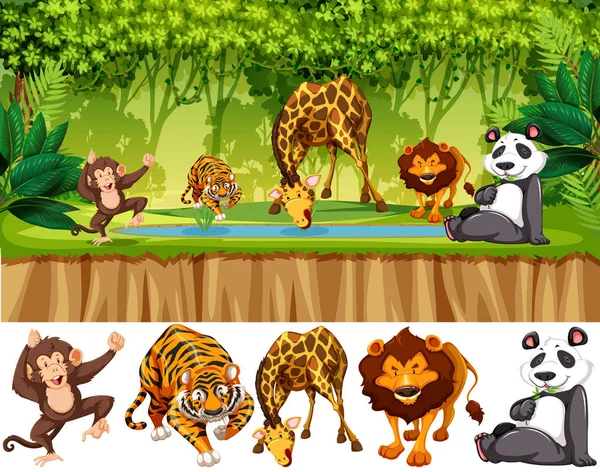 Wild animal in jungle illustration