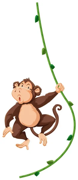 Monkey Hanging Vine Illustration — Stock Vector