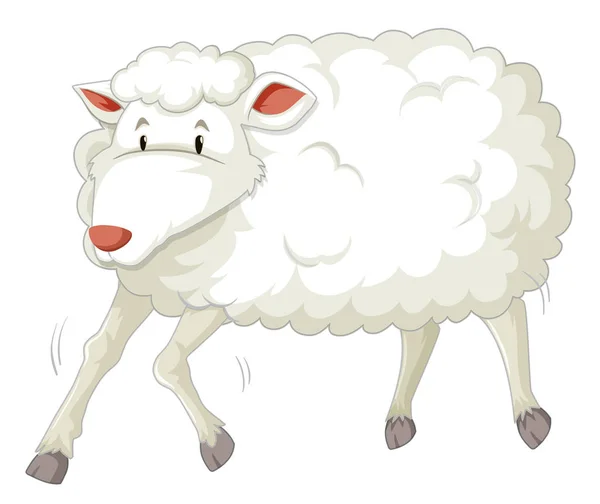 Obrázek Znaku Bílé Ovce — Stockový vektor
