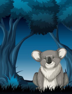 Koala gece sahne çizimde