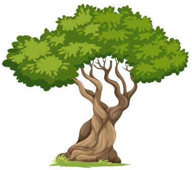 Beyaz arka plan illüstrasyon izole ağacı