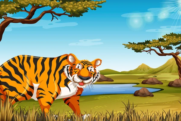 Tigre Naturaleza Escena Ilustración — Vector de stock