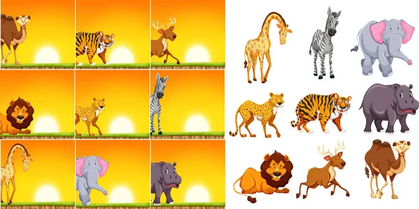 Animal Sauvage Dans Illustration Scène Coucher Soleil — Image vectorielle