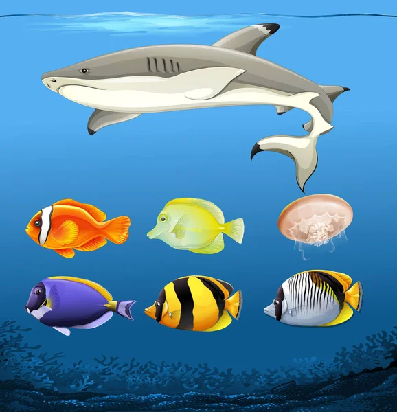 Set Underwater Fish Illustration — Stock Vector