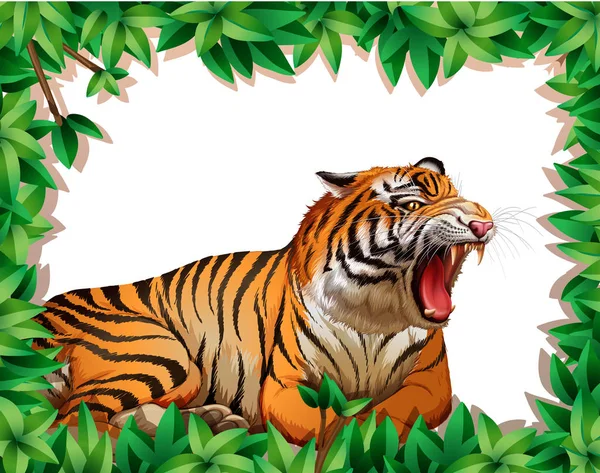 Tygrys Przyrody Ramki Ilustracji — Wektor stockowy
