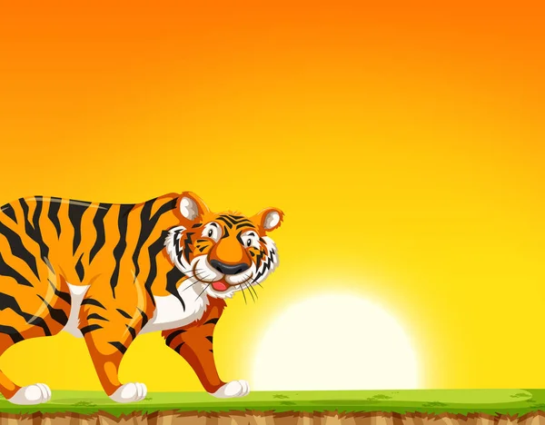 Tigre Sur Fond Coucher Soleil Illustration — Image vectorielle