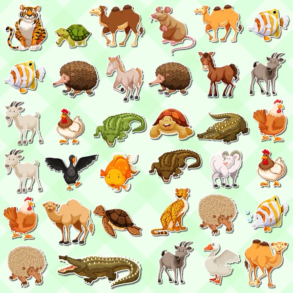 Conjunto Animales Lindos Etiqueta Ilustración — Vector de stock