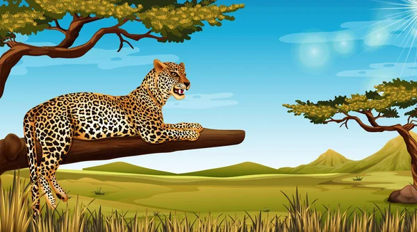 Cheetah Trädet Scen Illustration — Stock vektor