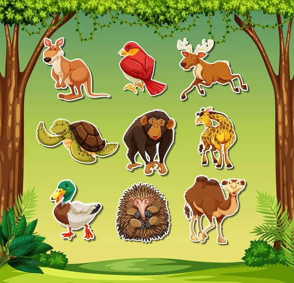 Set Wild Animal Sticker Illustration — Stock Vector