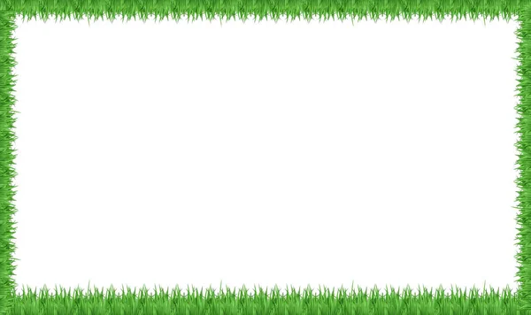 Ett Grönt Gräs Ram Illustration — Stock vektor