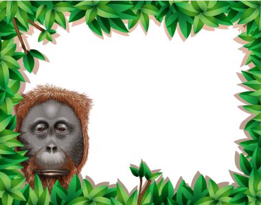 Maymun yaprak çerçeve resimde