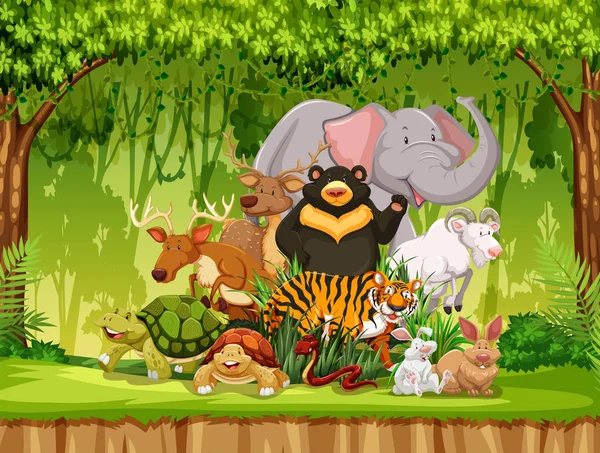 Ομάδα Ζώων Στην Ζούγκλα Σκηνή Εικόνα — Διανυσματικό Αρχείο