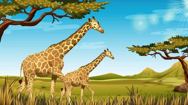 Girafas Ilustração Paisagem Africana — Vetor de Stock