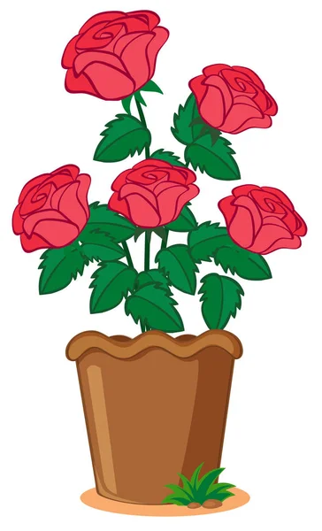 Rose Rosa Vaso Illustrazione — Vettoriale Stock